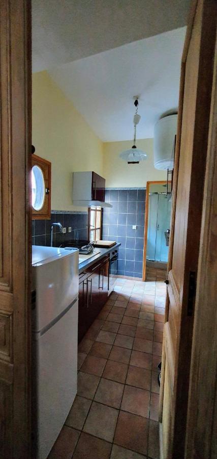 Studio Tres Spacieux Avec Cour, En Plein Coeur De Ville ! Carcassonne Exteriör bild