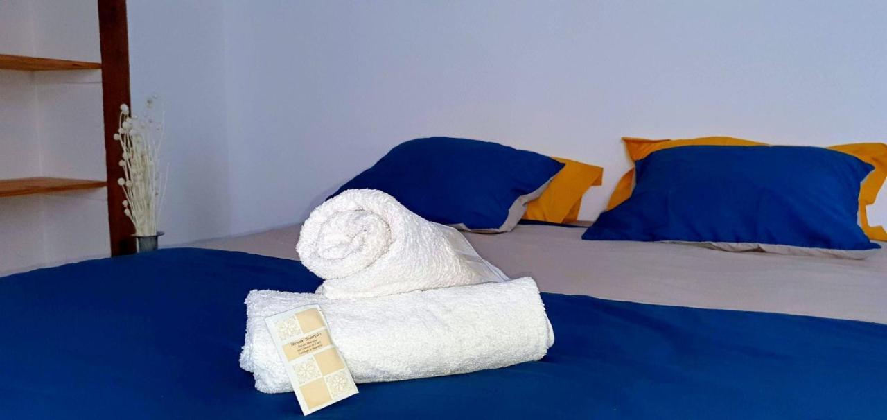 Studio Tres Spacieux Avec Cour, En Plein Coeur De Ville ! Carcassonne Exteriör bild