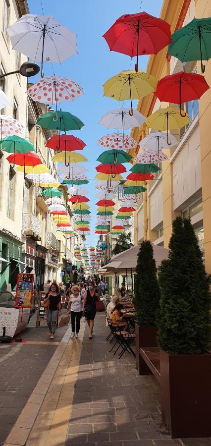 Studio Tres Spacieux Avec Cour, En Plein Coeur De Ville ! Carcassonne Exteriör bild